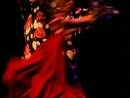 Anna villacampa y del flamenco (5).jpg