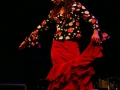 Anna villacampa y del flamenco (6).jpg