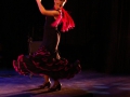 DANZA DEL FUEGO - NUEVO FUEGO (34).jpg