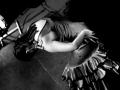 Viva_Flamenco_3.jpg